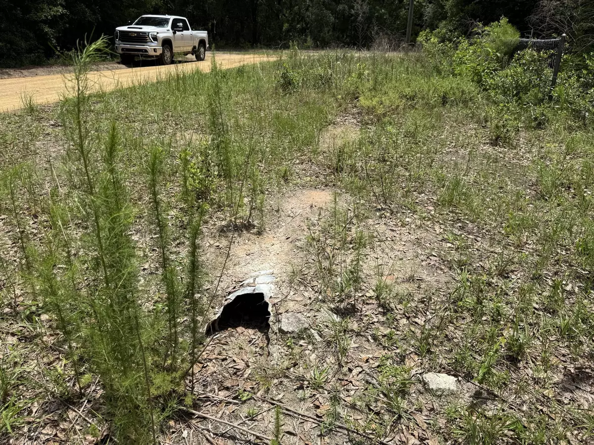 Interlachen, FL 32148,101 Joel AVE