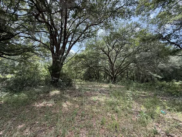 Interlachen, FL 32148,101 Joel AVE