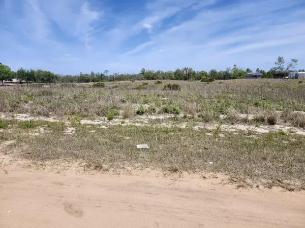 Lake Wales, FL 33898,Lot 30 Fazzini RD