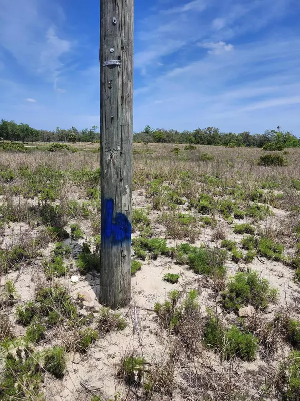 Lake Wales, FL 33898,Lot 30 Fazzini RD