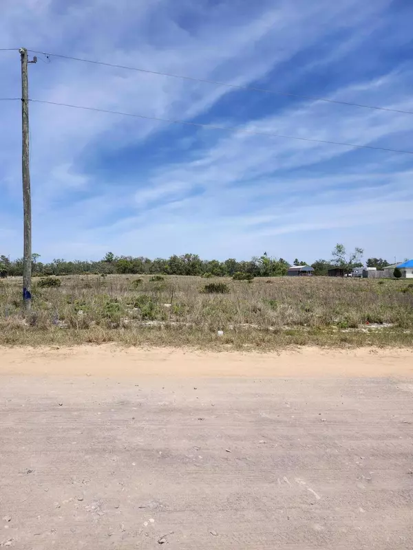 Lake Wales, FL 33898,Lot 30 Fazzini RD