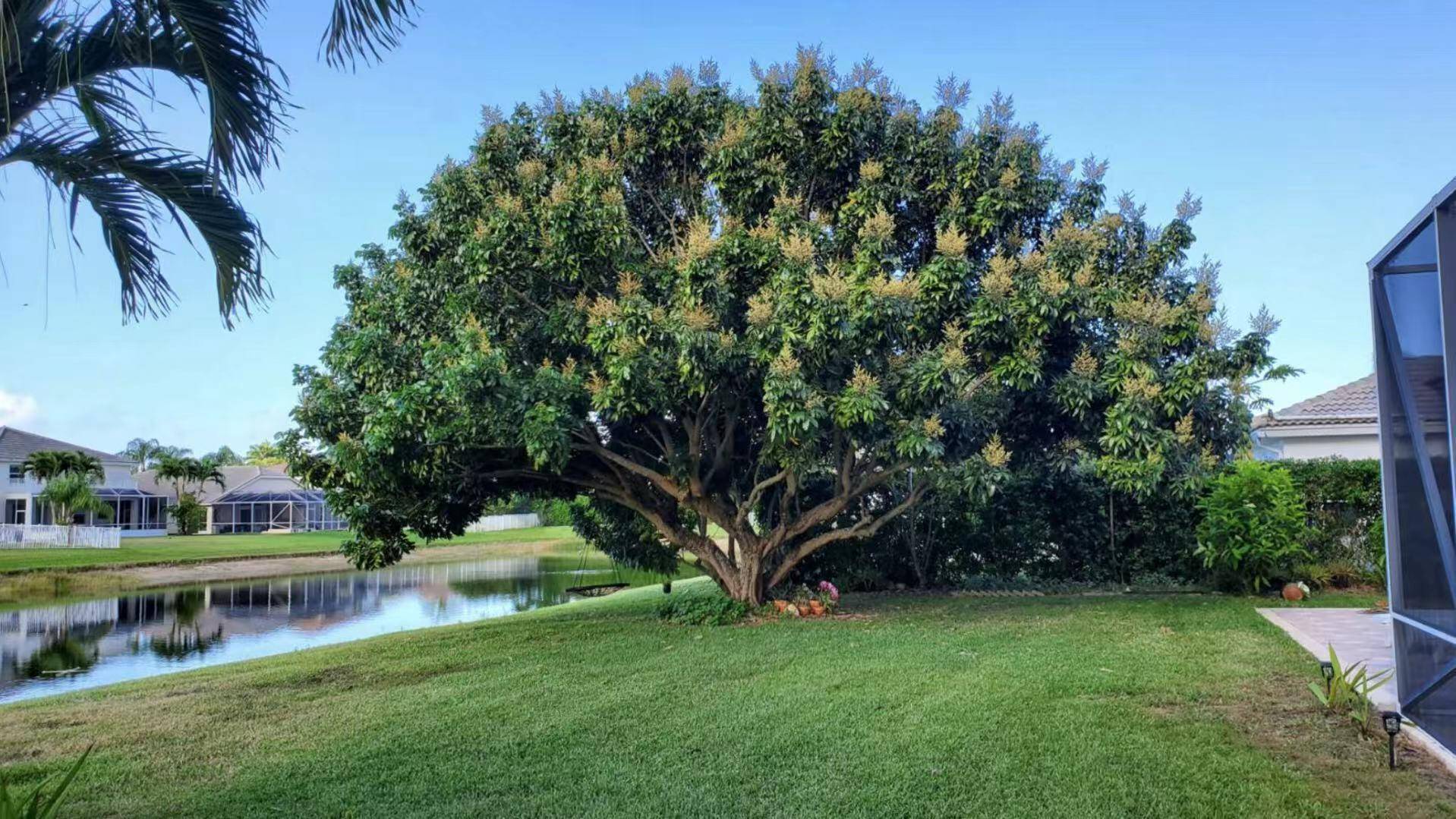 Wellington, FL 33414,11174 Winding Pearl WAY
