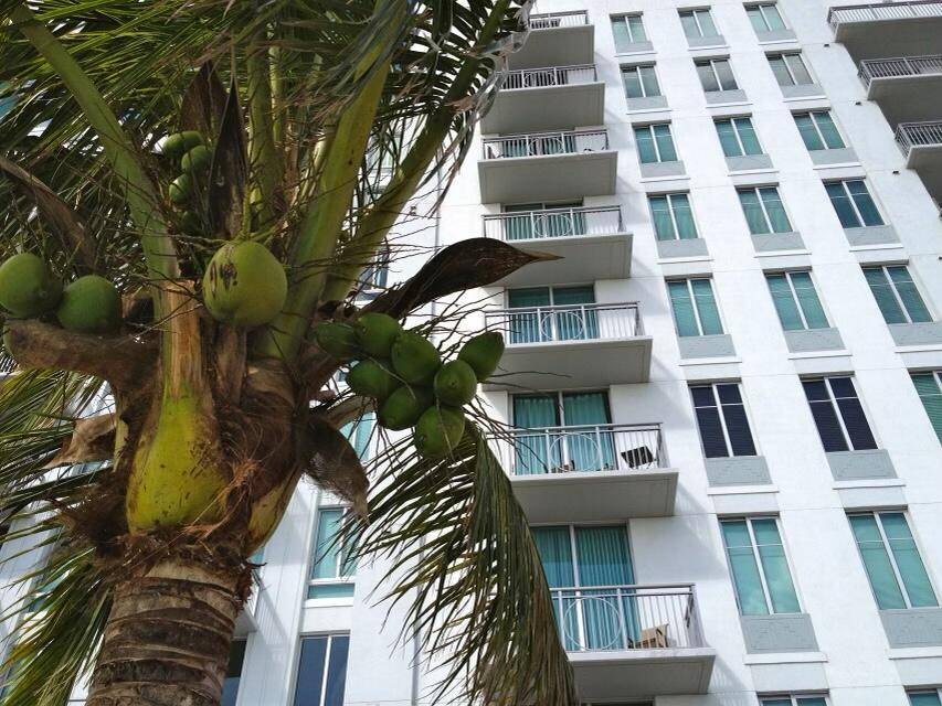 300 S Australian AVE 508, West Palm Beach, FL 33401