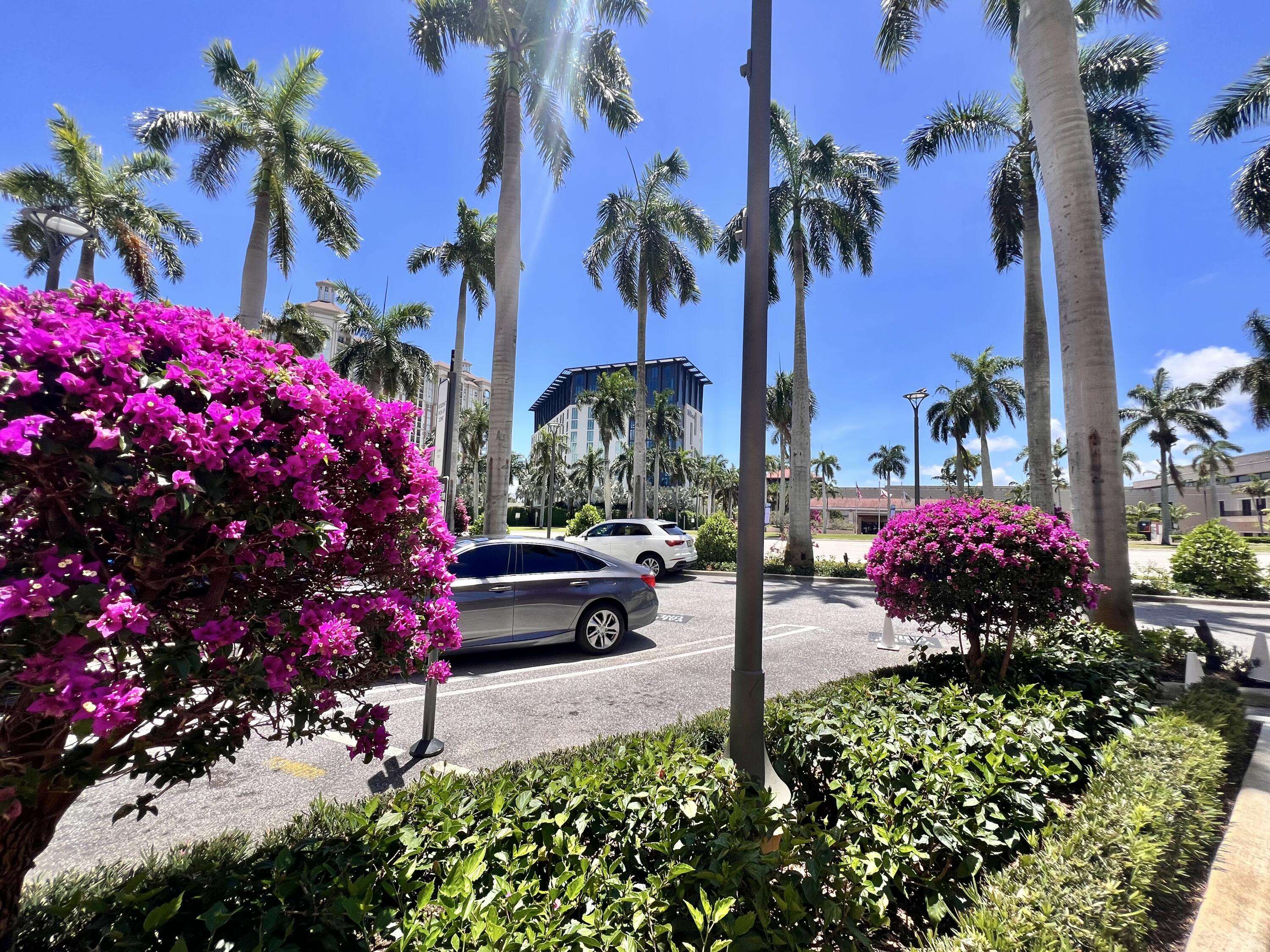 West Palm Beach, FL 33401,651 Okeechobee BLVD 706
