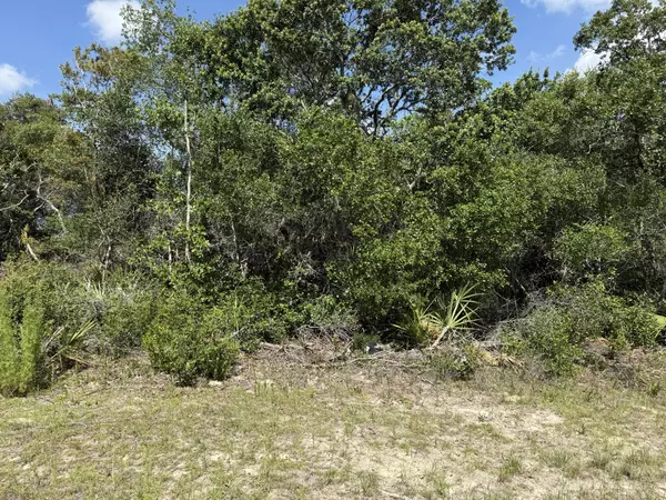 Ocala, FL 34473,Tbd SW 30th Terrace RD