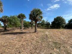 Okeechobee, FL 34972,16642 NW 286th ST