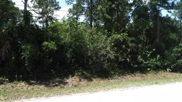 The Acreage, FL 33470,Lot 69 77 LN