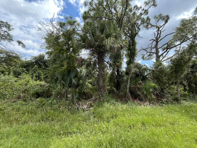 15501 Whitehall AVE, Port Charlotte, FL 33953