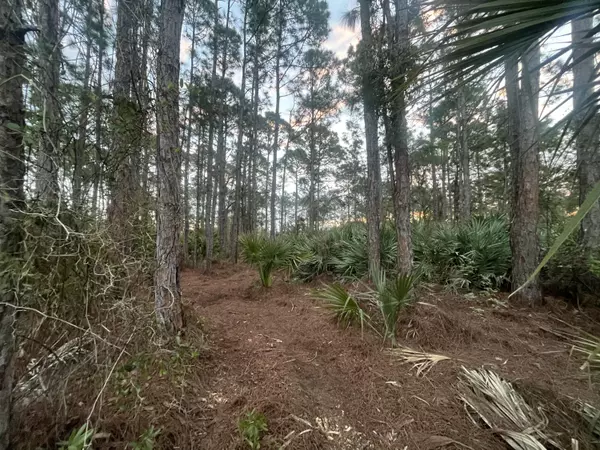 Palm Bay, FL 32909,2641 SE Quincy AVE