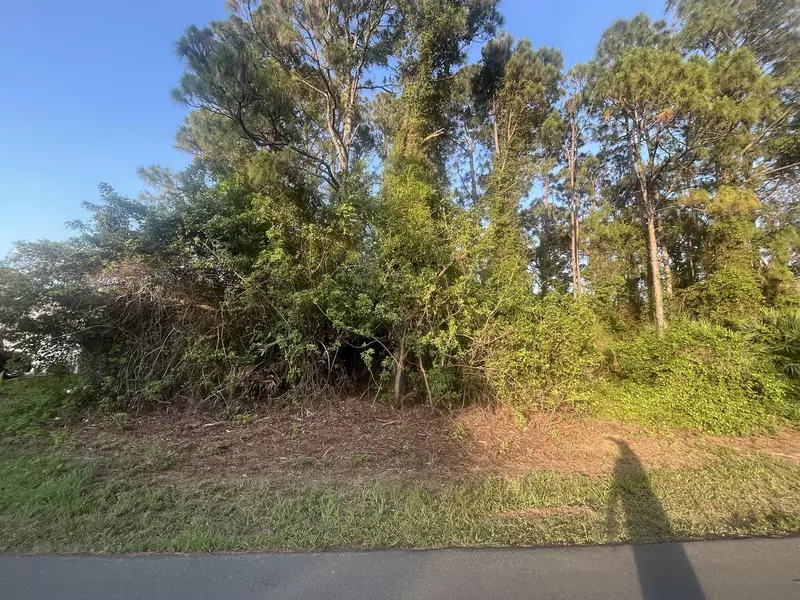 1749 NW Hayworth CIR, Palm Bay, FL 32907
