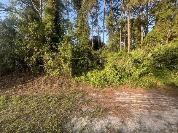 Palm Bay, FL 32907,1749 NW Hayworth CIR
