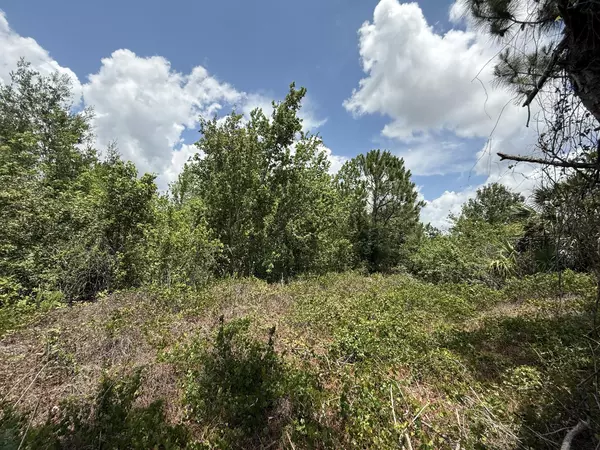 North Port, FL 34286,Tbd Snug ST