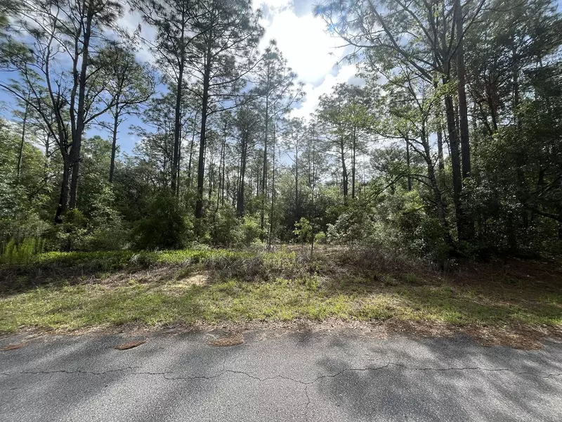 0 SW 201st CIR, Dunnellon, FL 34431