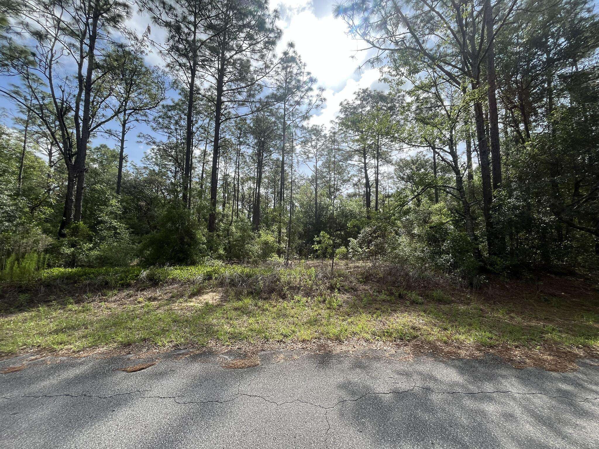 0 SW 201st CIR,  Dunnellon,  FL 34431