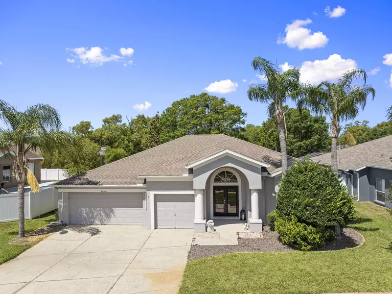 4205 Mast CT, Land O' Lakes, FL 34639
