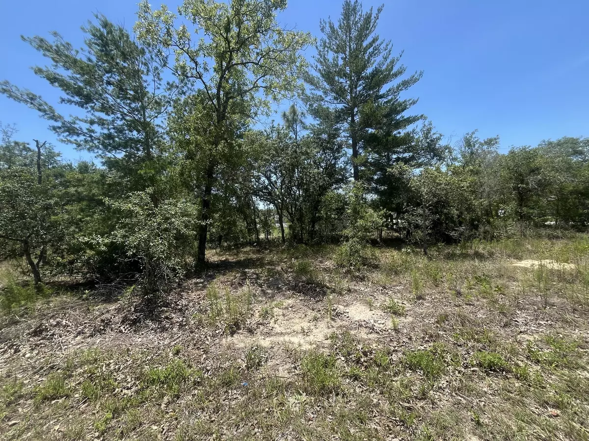 Weeki Wachee, FL 34614,Tbd Filbert RD