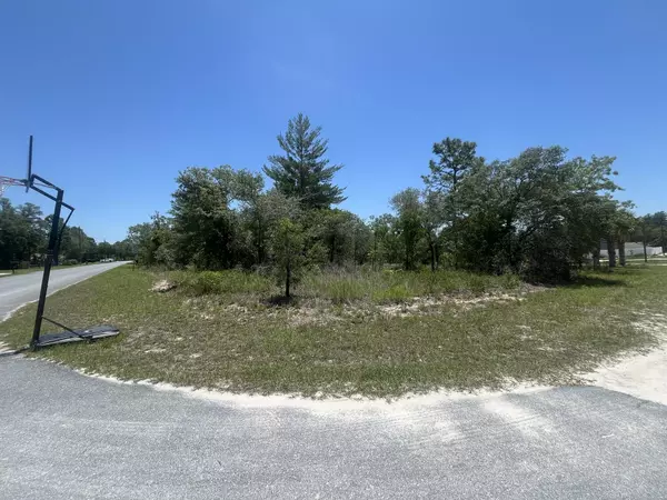 Weeki Wachee, FL 34614,Tbd Filbert RD