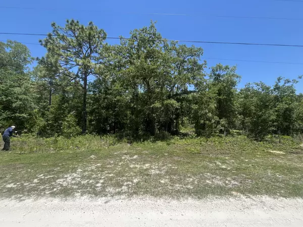Weeki Wachee, FL 34614,Tbd Cliff Swallow RD