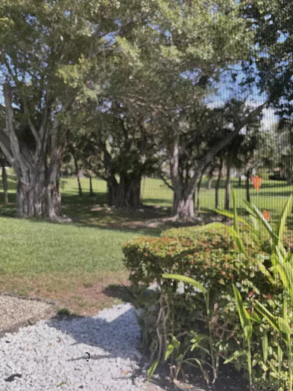 Boca Raton, FL 33431,479 Hardwood PL 479