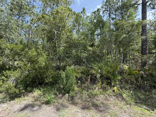 182 Millican RD, Palatka, FL 32177