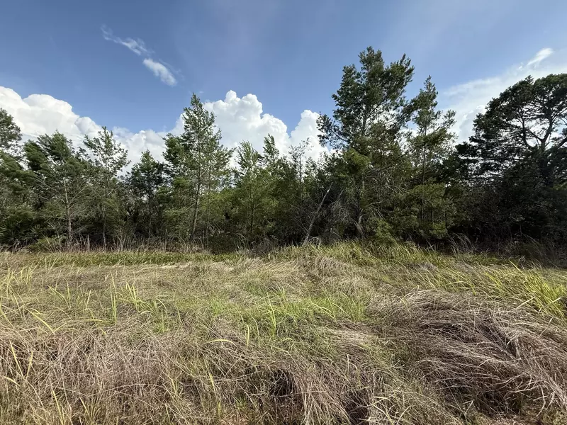 2921 W Seville DR, Avon Park, FL 33825