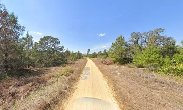 Avon Park, FL 33825,2921 W Seville DR