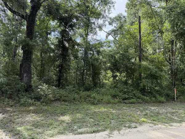 Live Oak, FL 32060,Tbd Running Springs DR