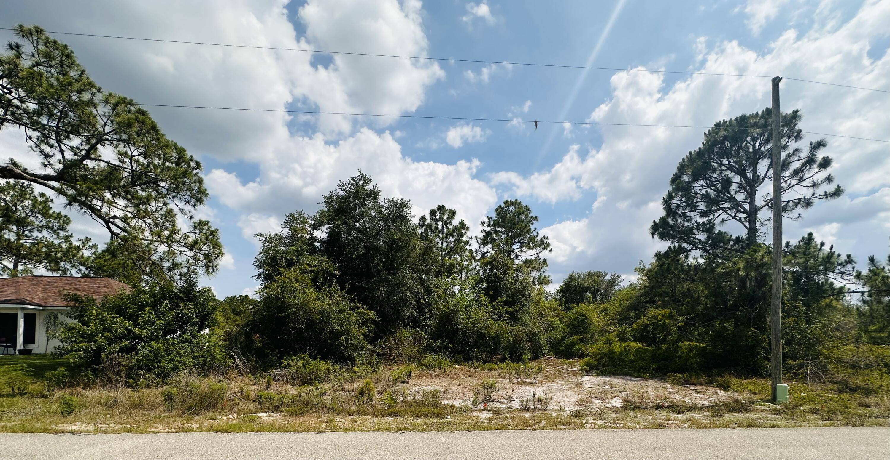 253 Joppa AVE, Lake Placid, FL 33852