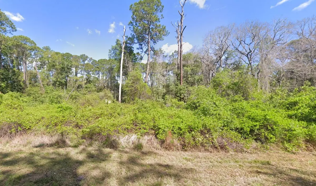 Georgetown, FL 32139,204 Hazel AVE