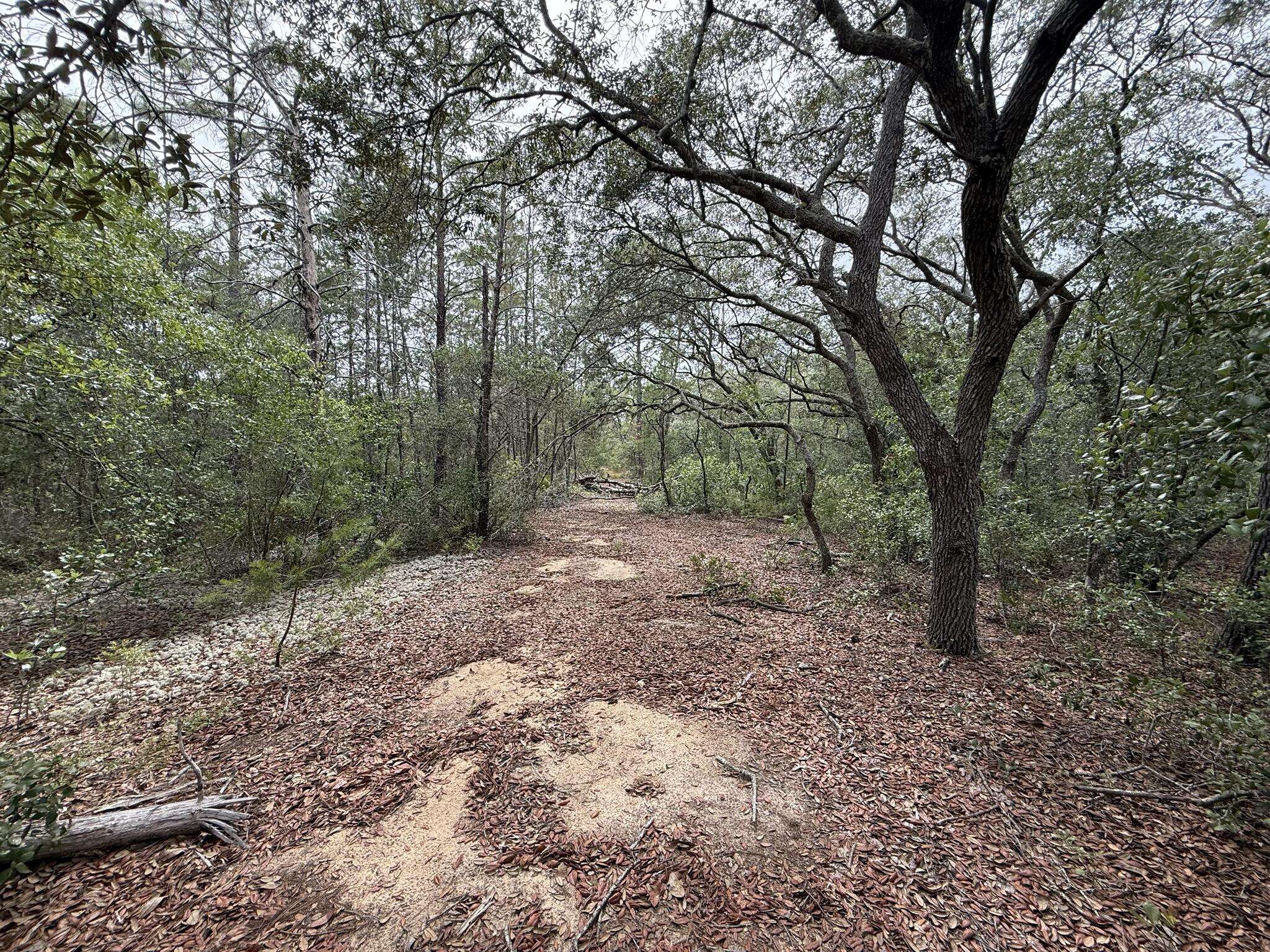 Interlachen, FL 32148,103 Clay TRL