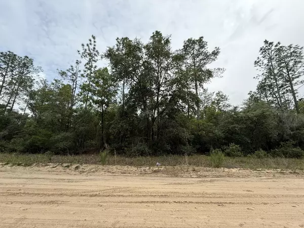 Interlachen, FL 32148,111 Brass ST