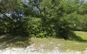 Dunnellon, FL 34432,Tbd 136th CT