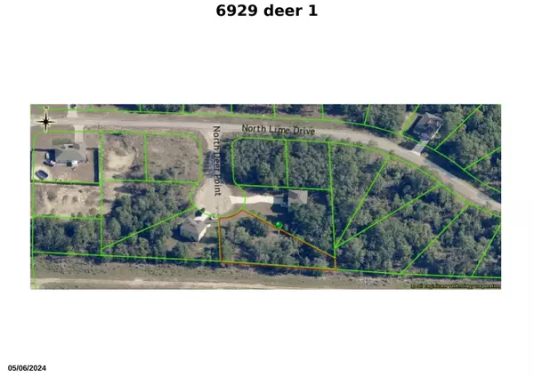 Citrus Springs, FL 34433,6929 N Deer PT
