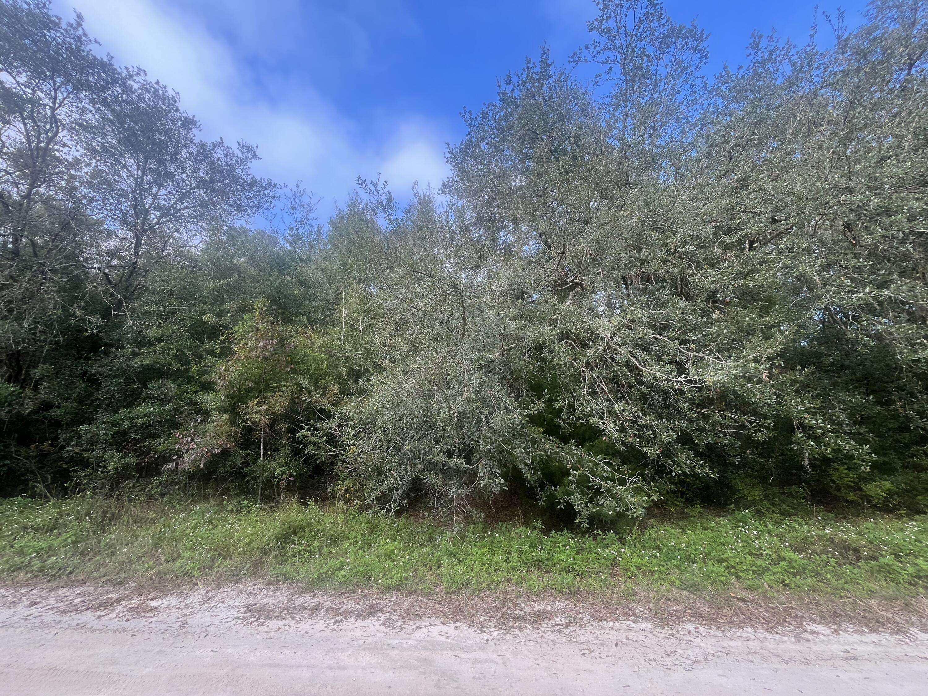 Tbd 132nd AVE, Dunnellon, FL 34432