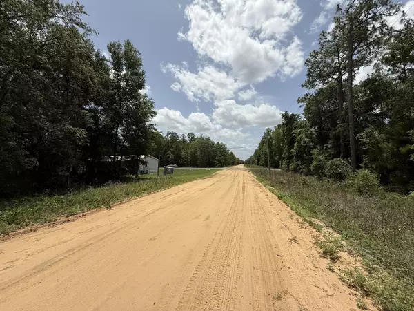 Interlachen, FL 32148,604 Kitty AVE