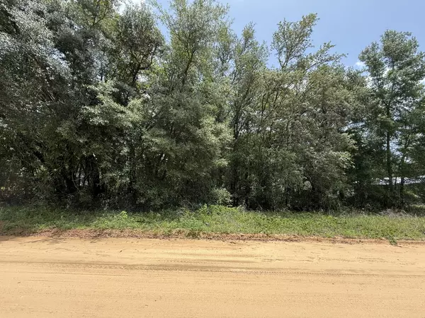 Interlachen, FL 32148,604 Kitty AVE