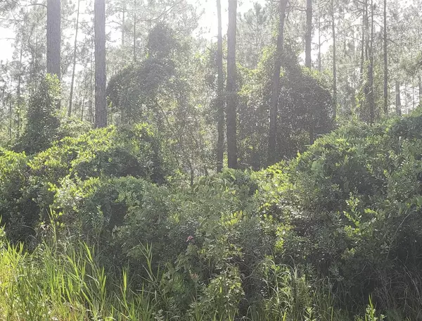 Hastings, FL 32145,10235 Amos AVE