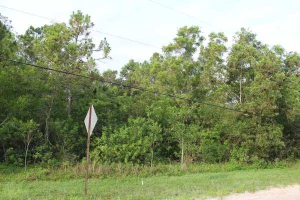 Loxahatchee, FL 33470,''17395'' N 94th ST
