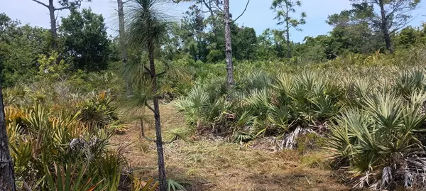 Grant Valkaria, FL 32950,000 None