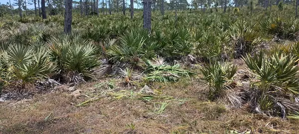 Grant Valkaria, FL 32950,000 None