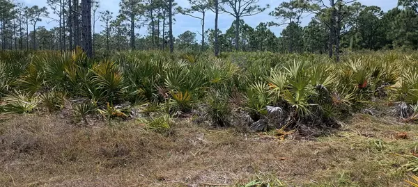 Grant Valkaria, FL 32950,000 None