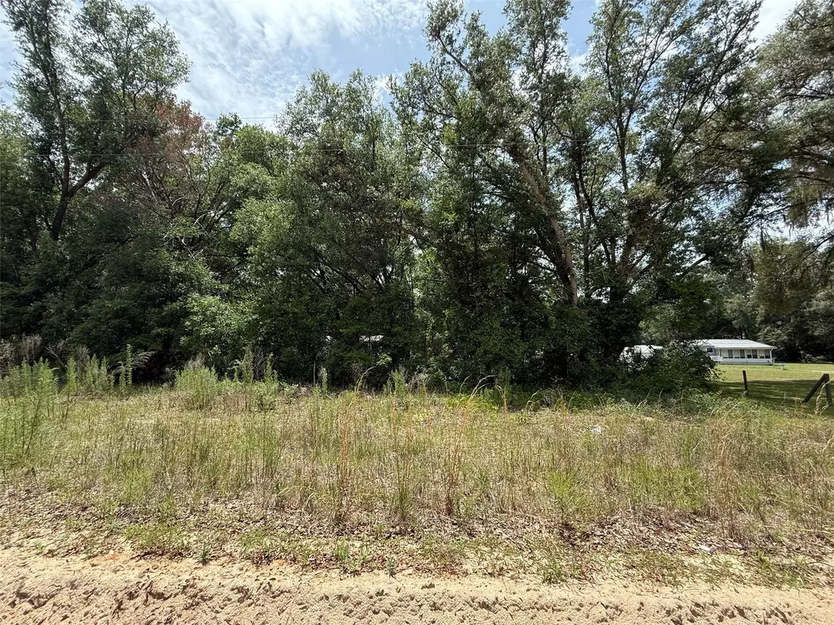 Interlachen, FL 32148,119 Smokey AVE