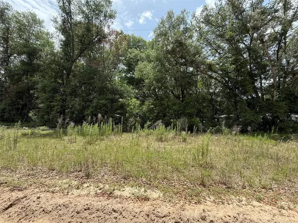 Interlachen, FL 32148,119 Smokey AVE