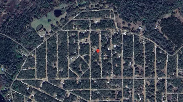 Interlachen, FL 32148,119 Smokey AVE