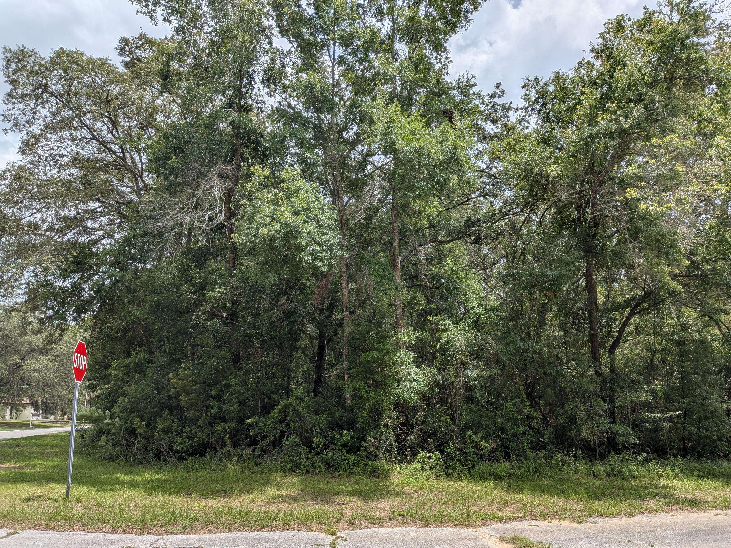 8989 N Conch TER, Dunnellon, FL 34434