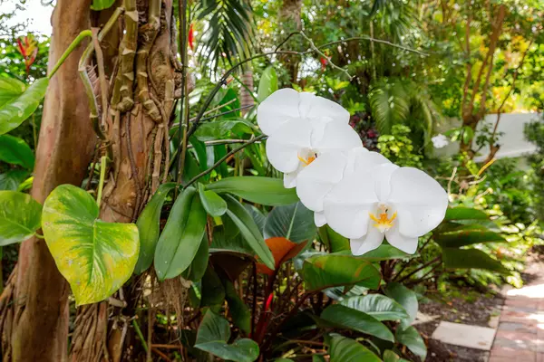 Wellington, FL 33414,2601 Sheltingham DR