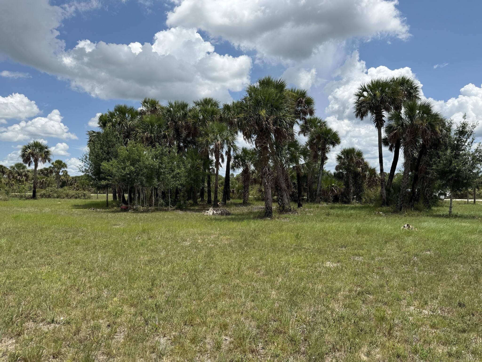 15775 NW 288th ST, Okeechobee, FL 34972