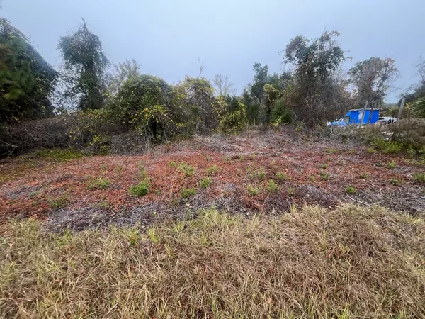 Georgetown, FL 32139,512 Dogwood AVE