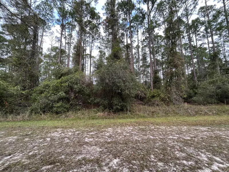 108 SE 5th ST, Georgetown, FL 32139