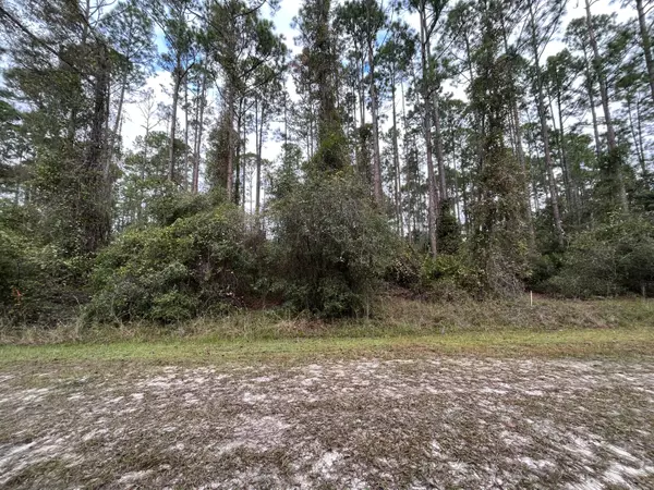 Georgetown, FL 32139,108 SE 5th ST